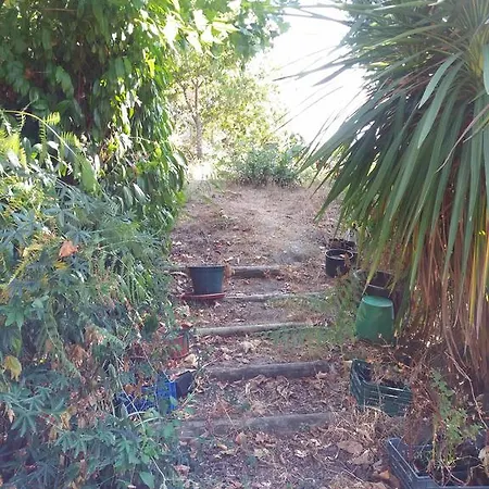 Dom wakacyjny Casa Da Fonte Trigueira *