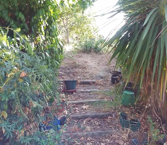 Feriehus Casa Da Fonte Trigueira *